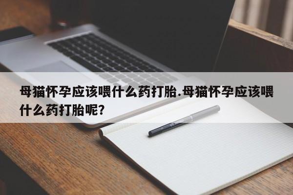 流产药购买母猫怀孕应该喂什么药打胎.母猫怀孕应该喂什么药打胎呢？