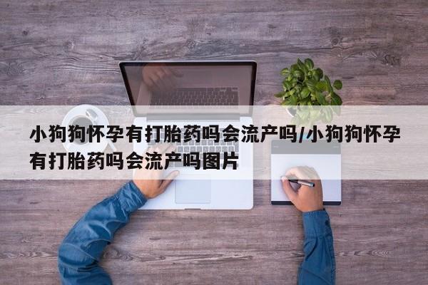 流产药购买小狗狗怀孕有打胎药吗会流产吗/小狗狗怀孕有打胎药吗会流产吗图片