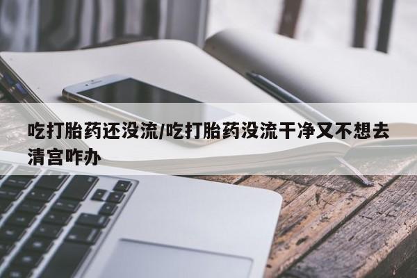 流产药购买吃打胎药还没流/吃打胎药没流干净又不想去清宫咋办