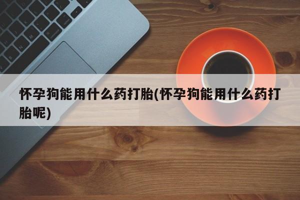 流产药购买怀孕狗能用什么药打胎(怀孕狗能用什么药打胎呢)