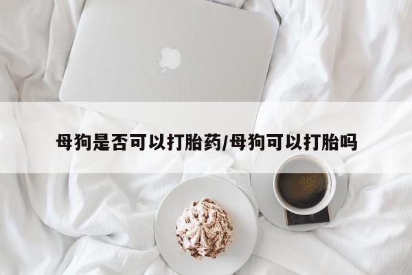 流产药购买母狗是否可以打胎药/母狗可以打胎吗